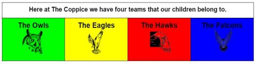 House Teams
