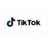 TikTok button
